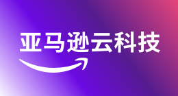 亚马逊云科技